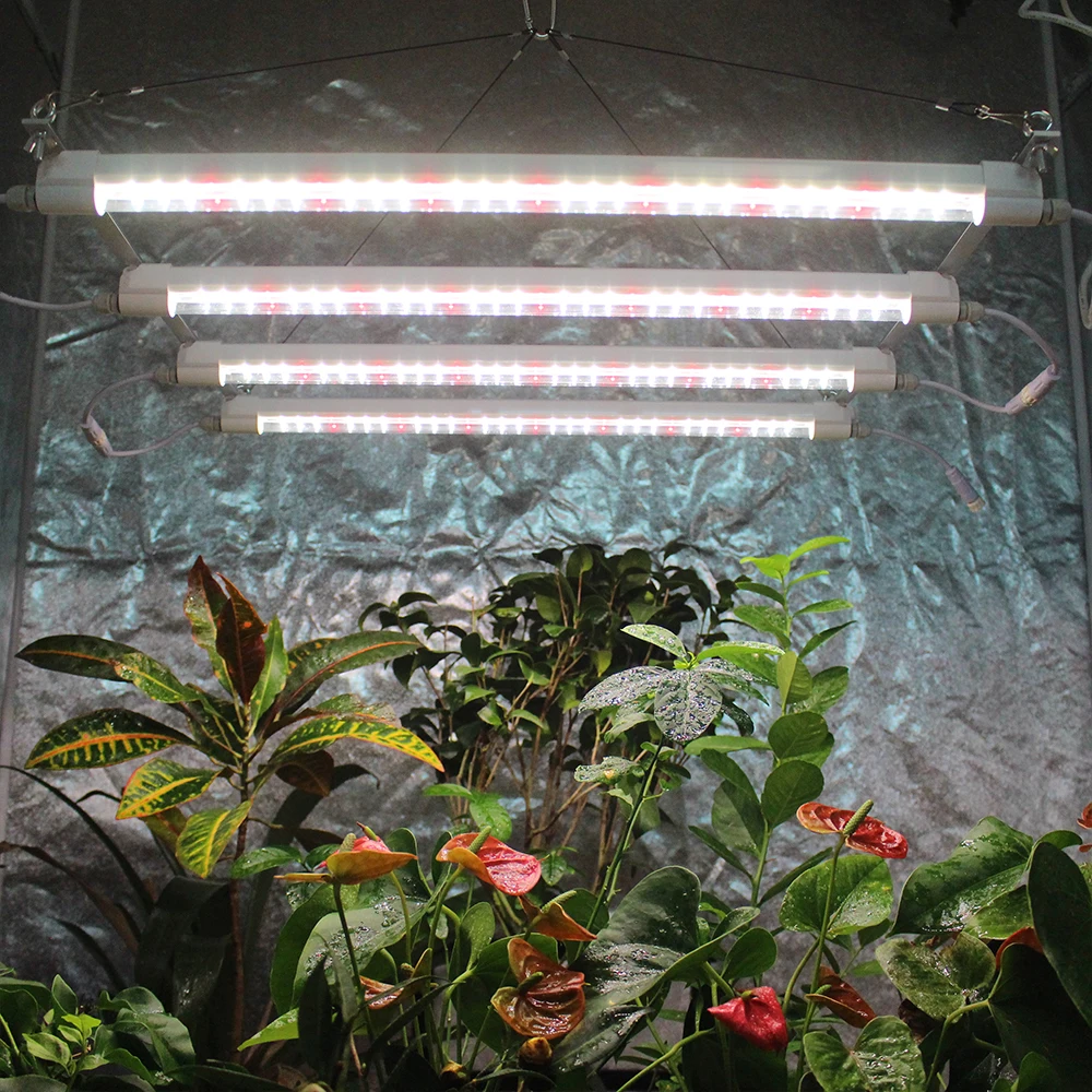 삼성 Lm301H EVO T5 튜브, 식물 온실용 LED 성장 조명, 최신 정품, 12W, 2ft, 4 개/몫, 2022 ...