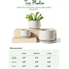 Plant Pots, 4.1+5.1+6.5 inch, Set of 3, Ceramic Planters with Drainage Hole and Saucer, Indoor Flower Pot with Hole Mesh Pad 5