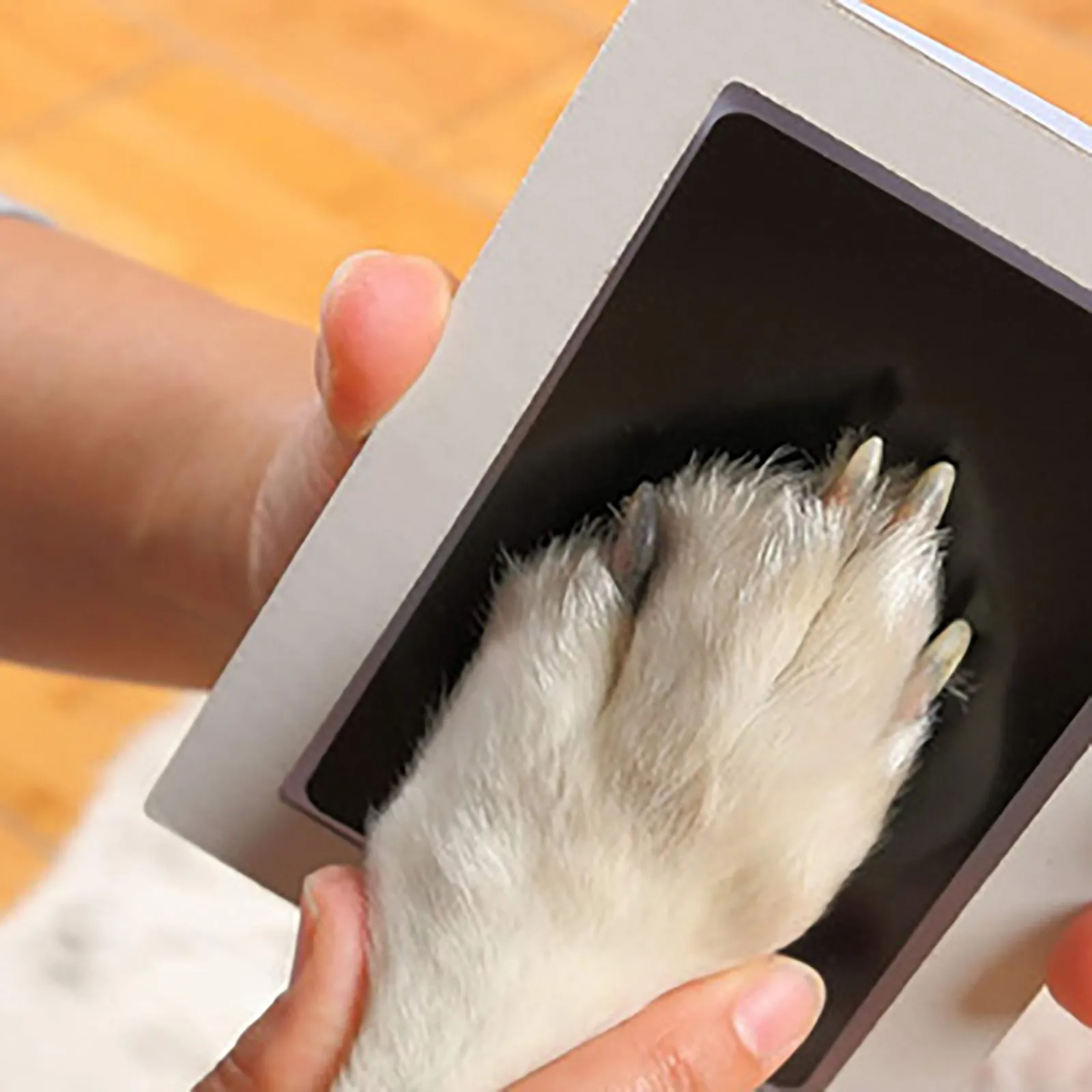Cute Mini Erasers Bulk Inkless Hand And Footprint Kit Ink Pad For Baby Hand And Footprints Dog Mini Christmas Erasers for Kids