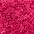 54-Coral