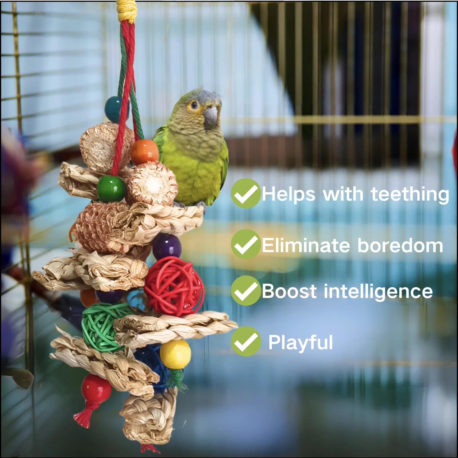 Natural Corn Cob Bird Toy 3