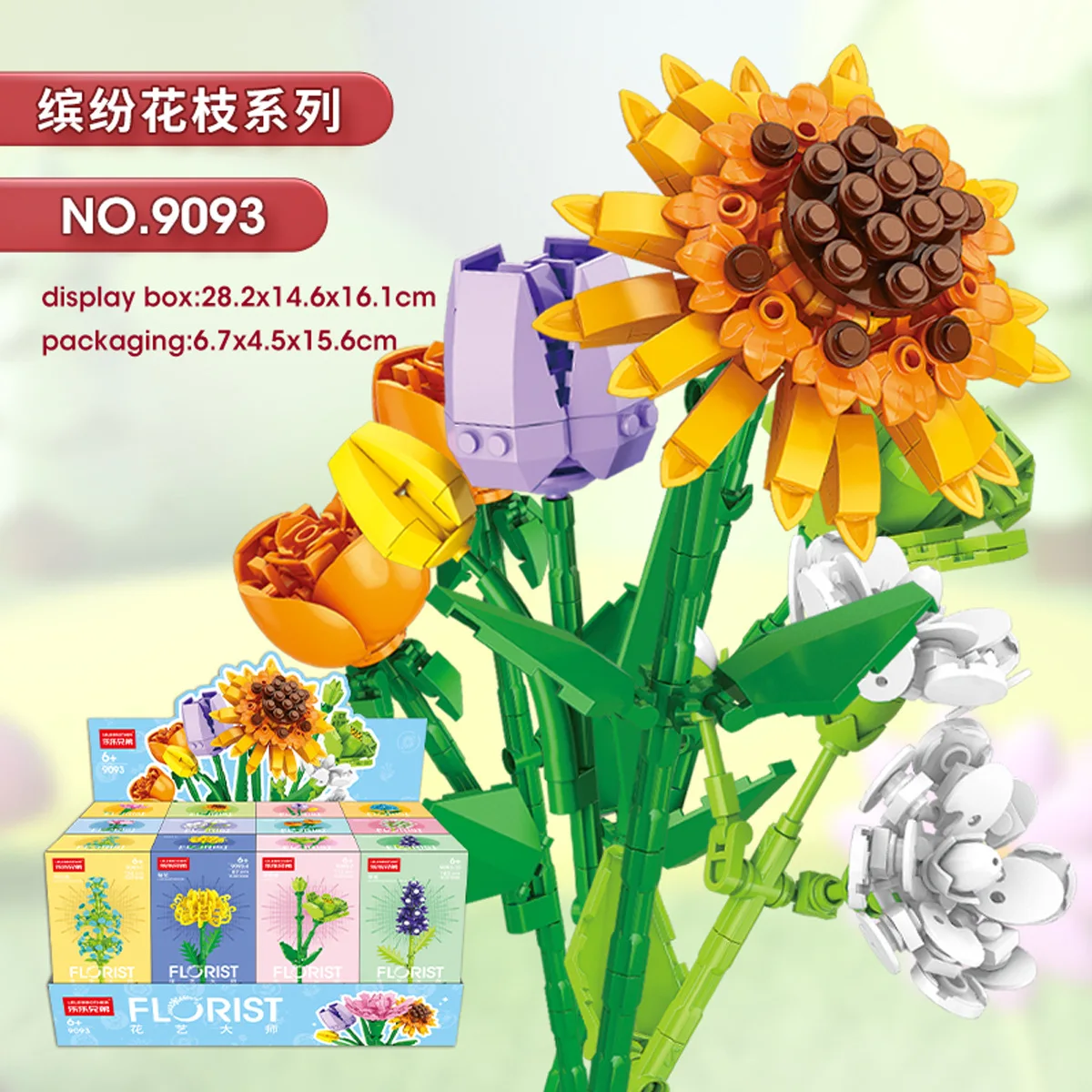 dsc-products