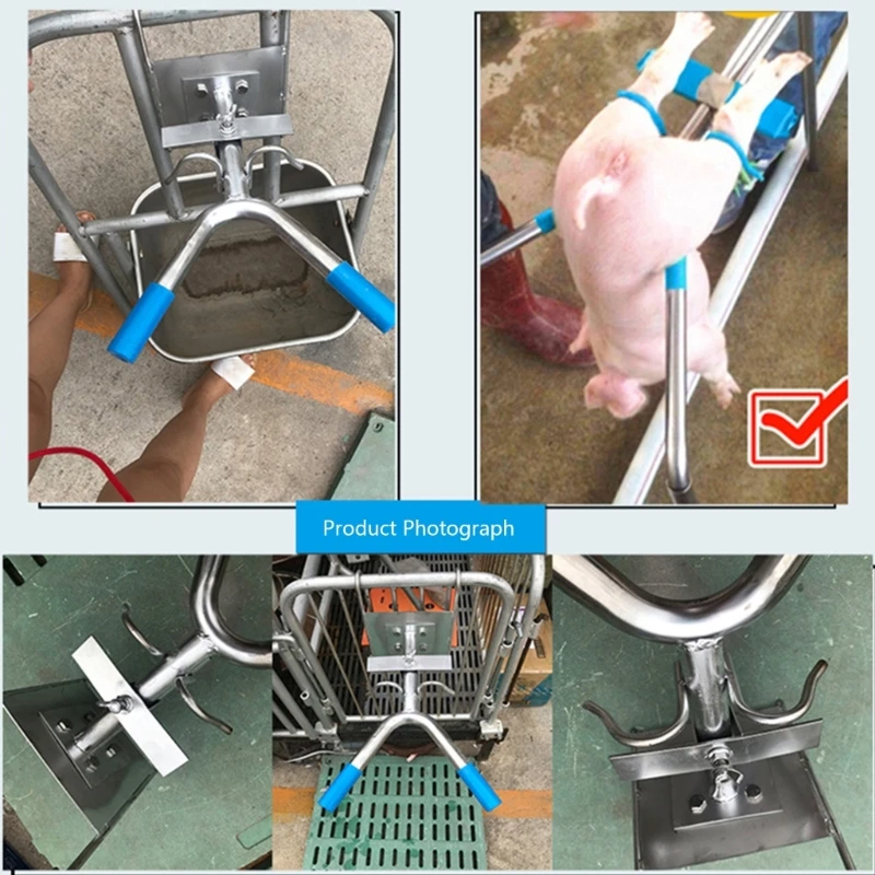 

Piglets Castrated Frame Tool Livestock Castration Rack Moveable Castrator Frame