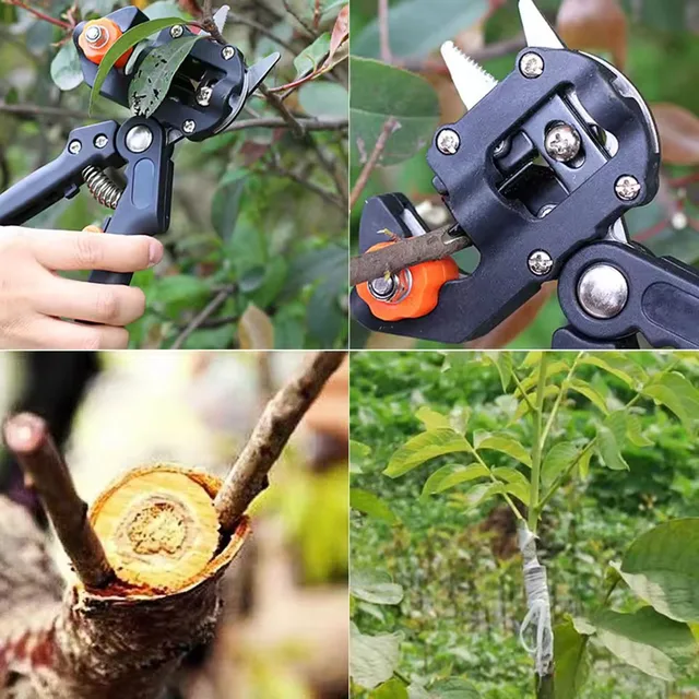 graft pruner, garden graft tool, professional branch cutter, plant pruning scissors, boxes, fruit tree graft scissors 2