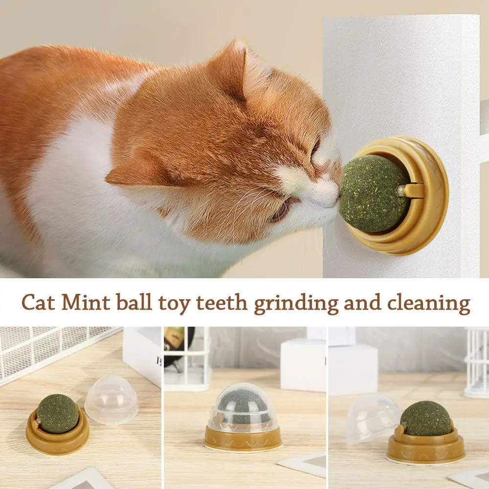 Rotatable Natural Catnip Balls Cat Wall Stick on Toy Treats Healthy