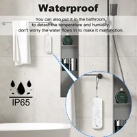 IP65 Zigbee Temperature Humidity Sensor Waterproof Outdoor Hygrometer Thermometer Work With Tuya Alexa - Image 4