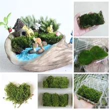 

1 Box Simulation Model Sand Scene DIY Material Natural Real MossTufts Miniature Grass Bushes Plant Cluster Scenery Model
