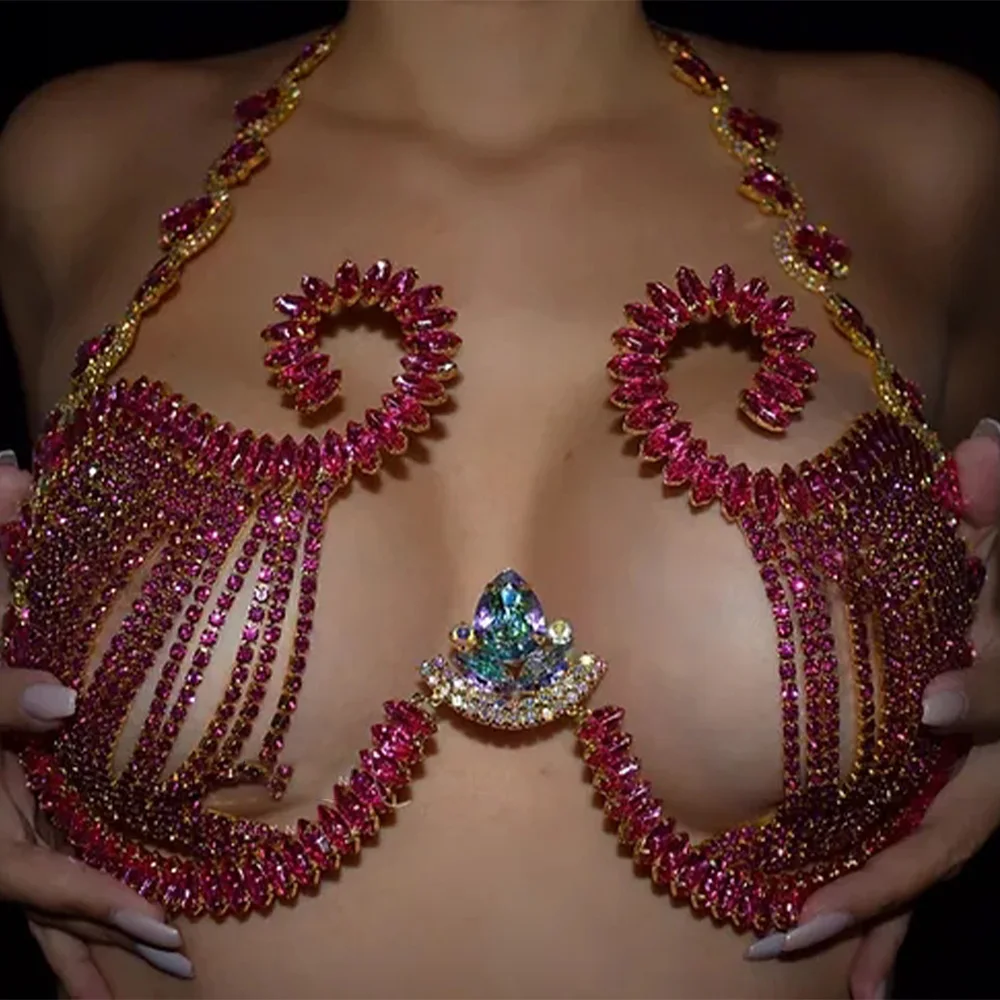 

Purple Chest Bracket Top Bra Jewellery Nekclace for Women Sparkly Nightclub Sexy Bikini 2024 Swimsuit Underwear Lingerie Body