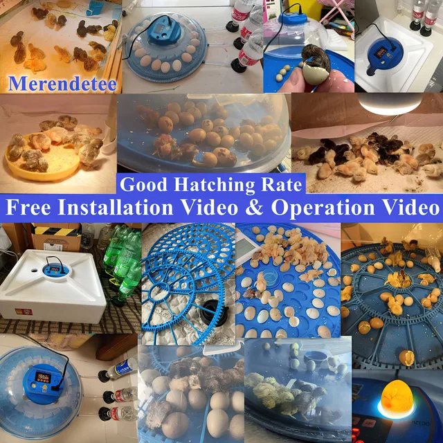 26-52 Eggs Automatic Incubator，Upgrade Automatic Water Adding，360 Degree View，incubators for hatching eggs，Without Install