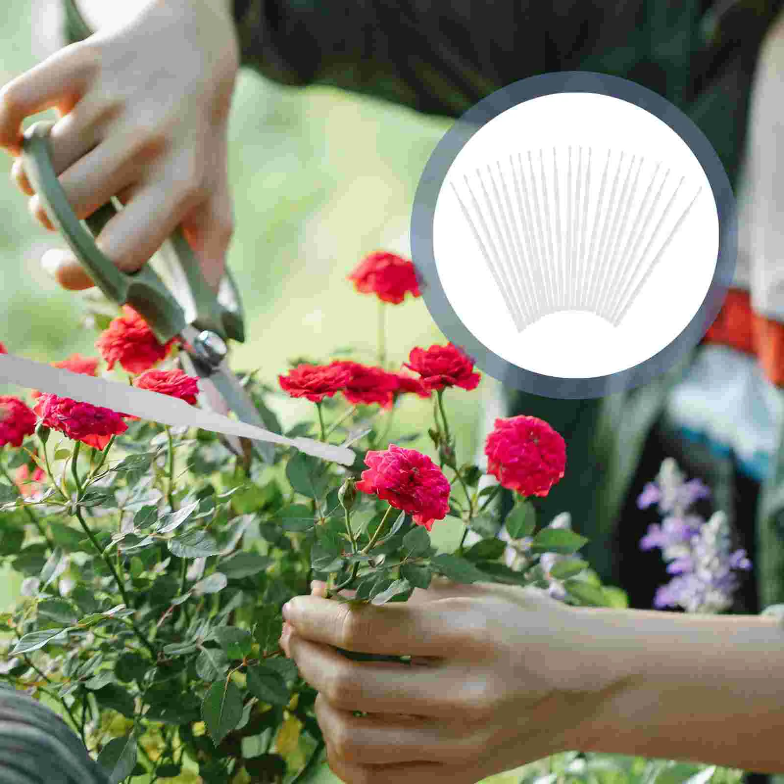 20 Pcs Pollinator Tool Gardening Tools Pen Pollinating Flowers Supplies White
