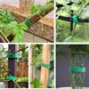 120/2m Self Adhesive Adjustable Plant Nylon Cable Tie Green Plants Hook Loop Support Garden Twine Bandage Fasteners Tape Strips 4