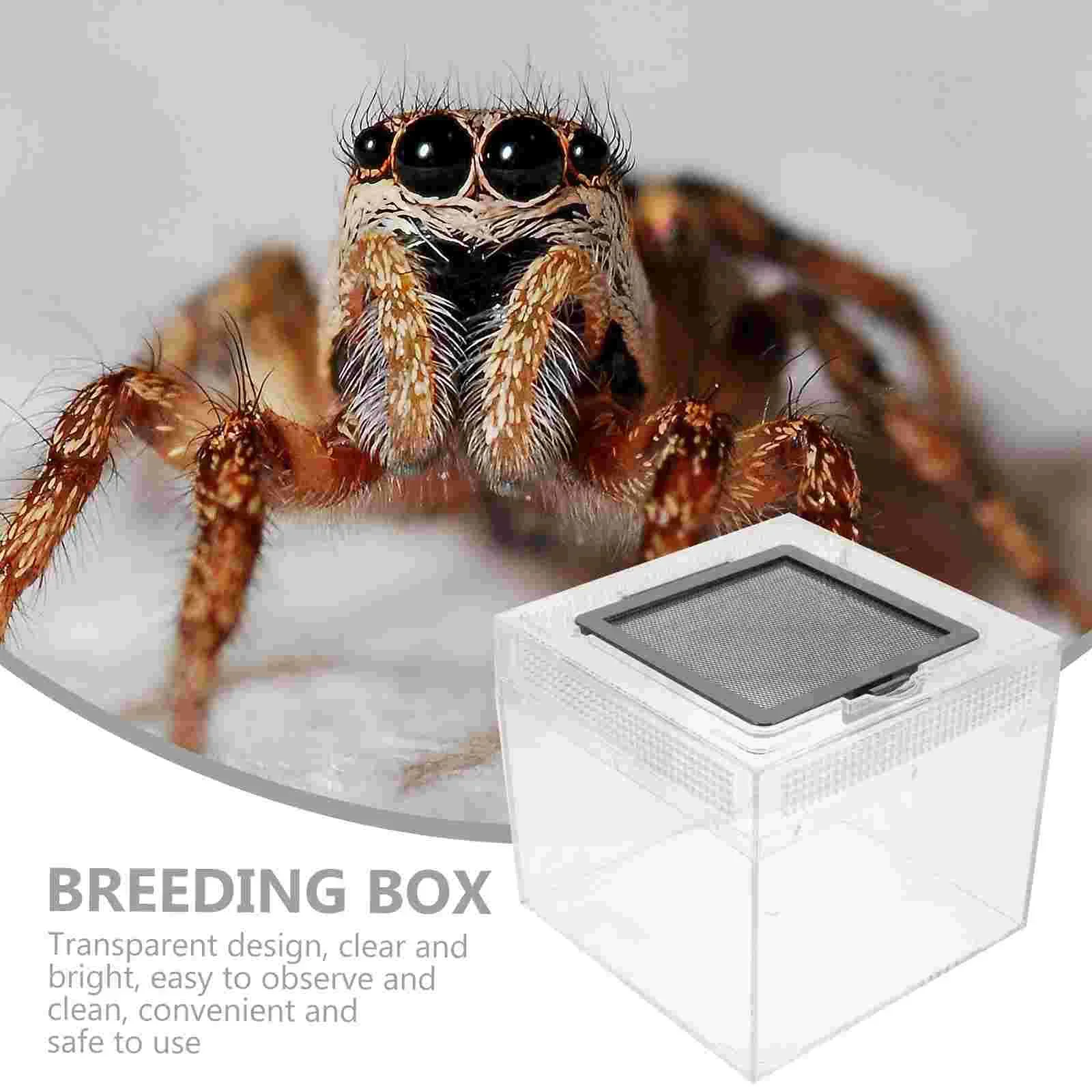 

Cage Reptile House Terrarium Box Tarantula Feeding Container Habitat Bowl Breeding Spider Enclosure Crab Tank Cricket Snake