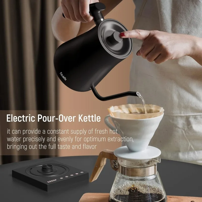 Fabuletta Electric Gooseneck Kettle