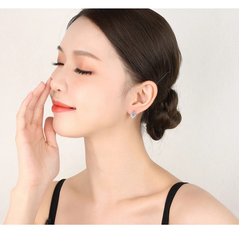925 Sterling Silver Shining Zircon Earrings Women's Circle Round Fashionable