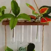 4 Pcs Hydroponic Vase Flower Pots Glass Test Tubes for Plants Convenient Flat Propagation Water Flowers Hanging Planter 3