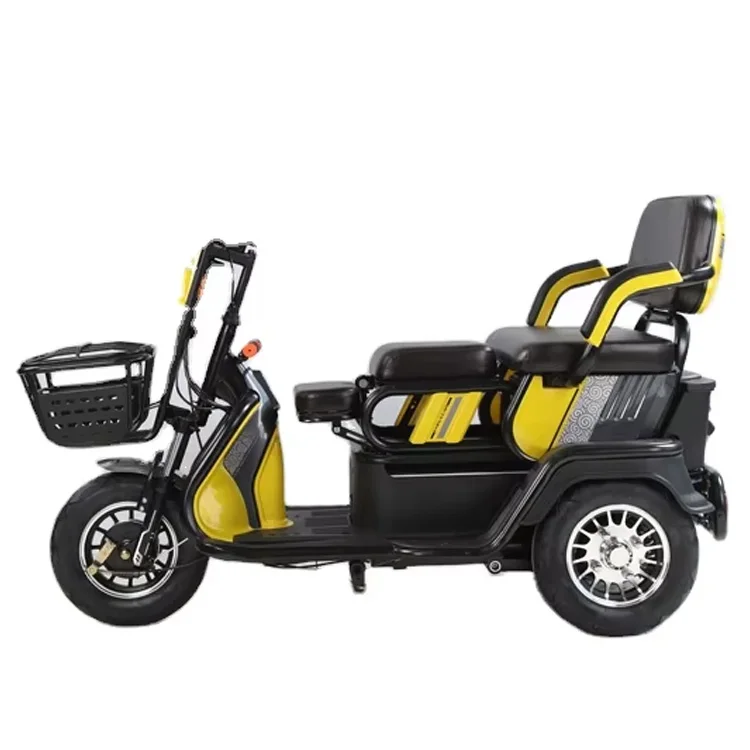 New Trend 1000w electric tricycle 3 wheel electric tricycle for children and adults With big promotion