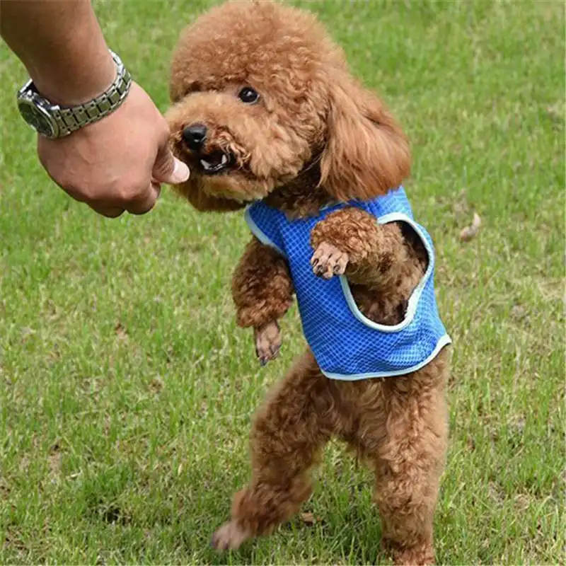 

Dog Vest Jacket Adjustable Outdoor XS/S/M/L Cool Dog Puppy Comfortable Reusable