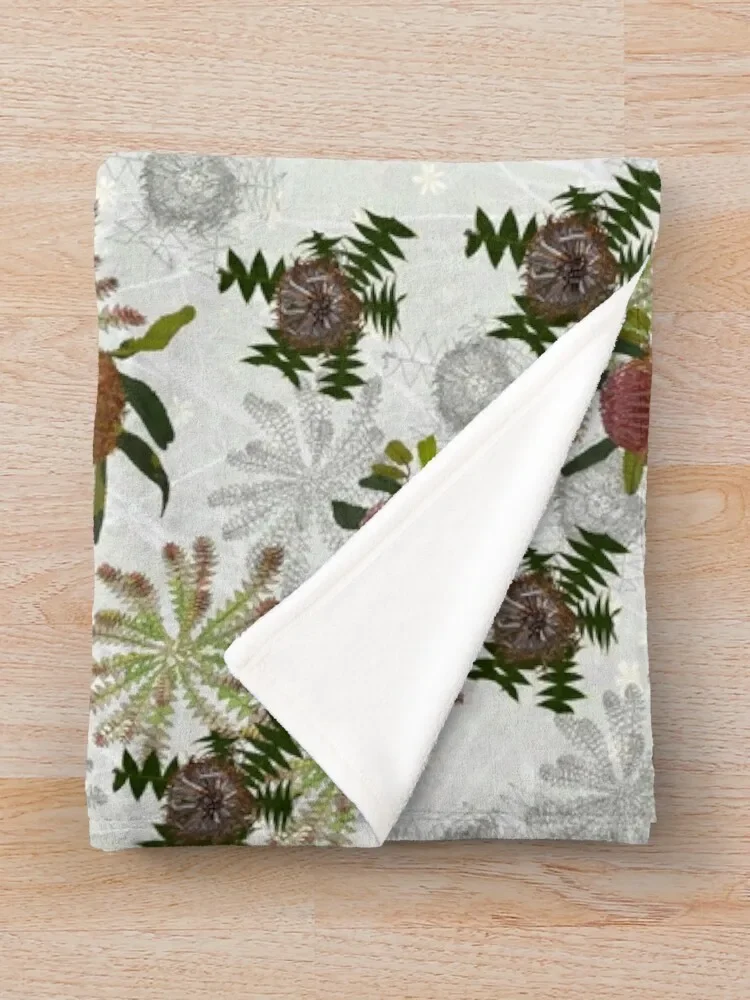 ȥ�� Banksia ���� ������, ���� ������ ������ ���, ������ ���� ���� ���