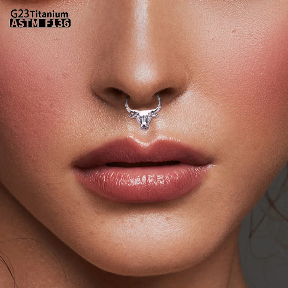 Cerchio Per Il Naso In Titanio Massiccio 18/20/22G, Cerchi Per Le - Foto 8