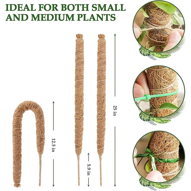 Kókuszdióoszlopok Növényi Hegymászó Rúd Mászó Szőlő Kókuszdió Pálma Diy Újrafelhasználható Bot Tartó Mohás Meghosszabbítás - Image 2