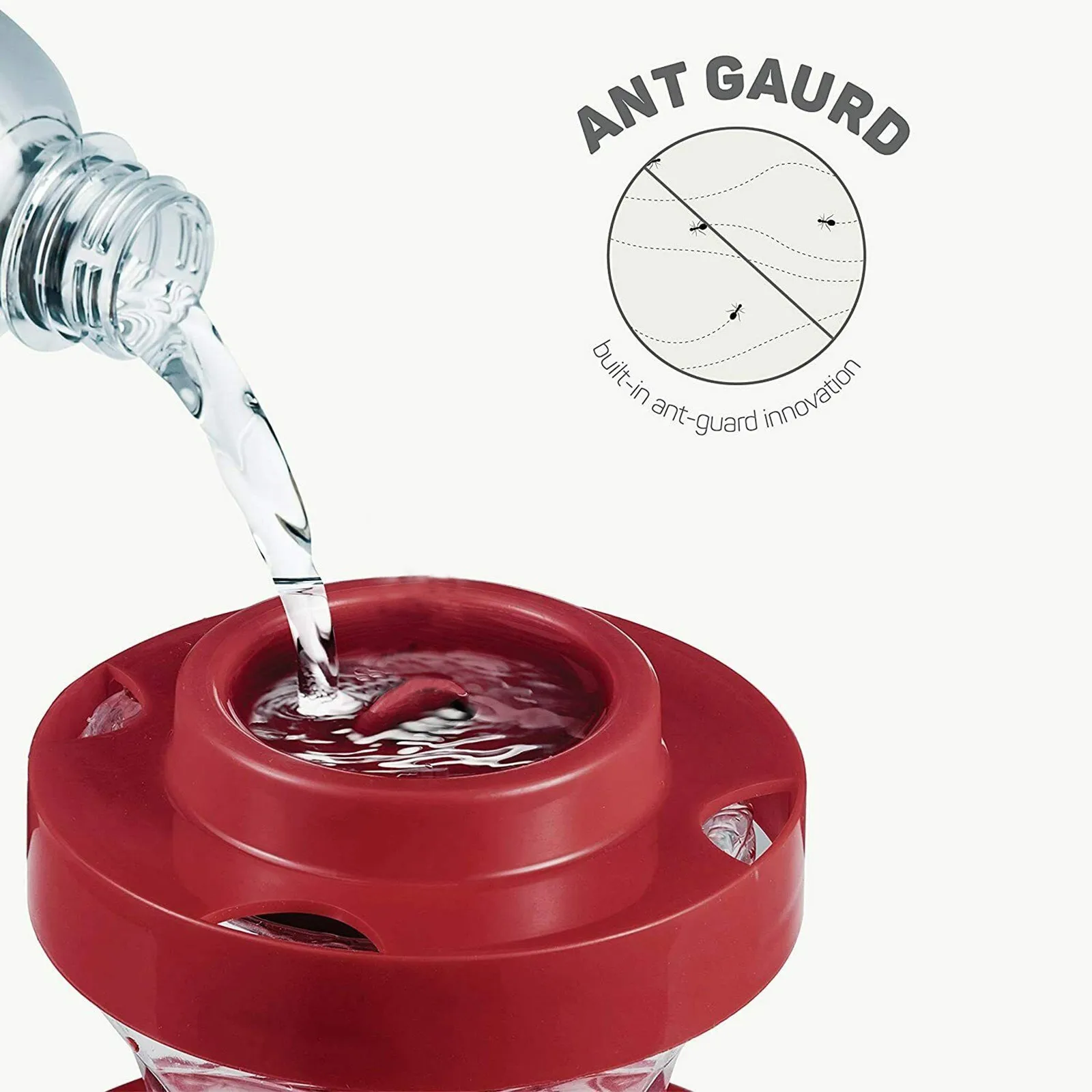 Hummingbird Feeder With Ant Moat And Bee Guard For Small Birds Birds Food