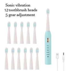 Rechargeable Ultrasonic Electric Toothbrush with 5 Modes and Waterproof Design (Blue 12head)