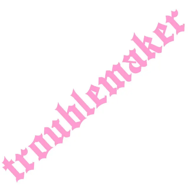 Image 17