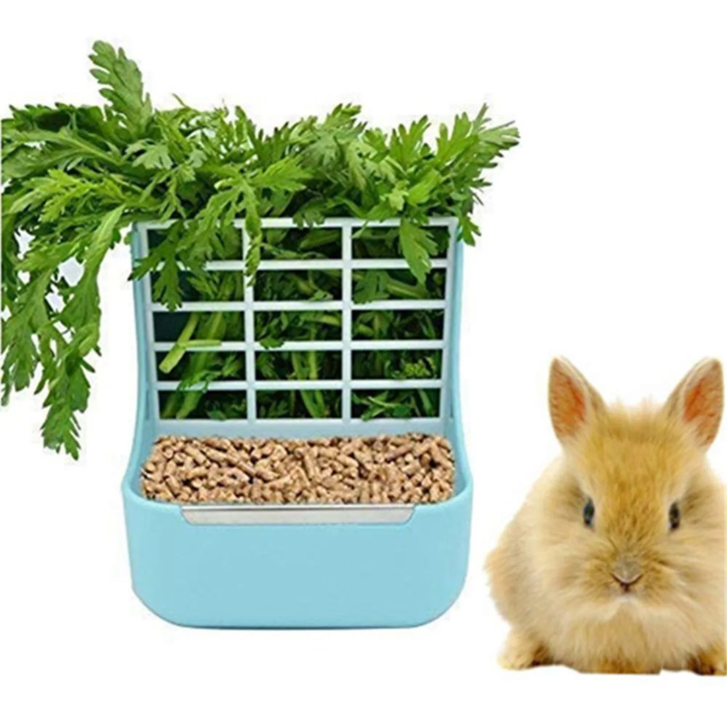 Lapin mange foin en mangeoire bleue