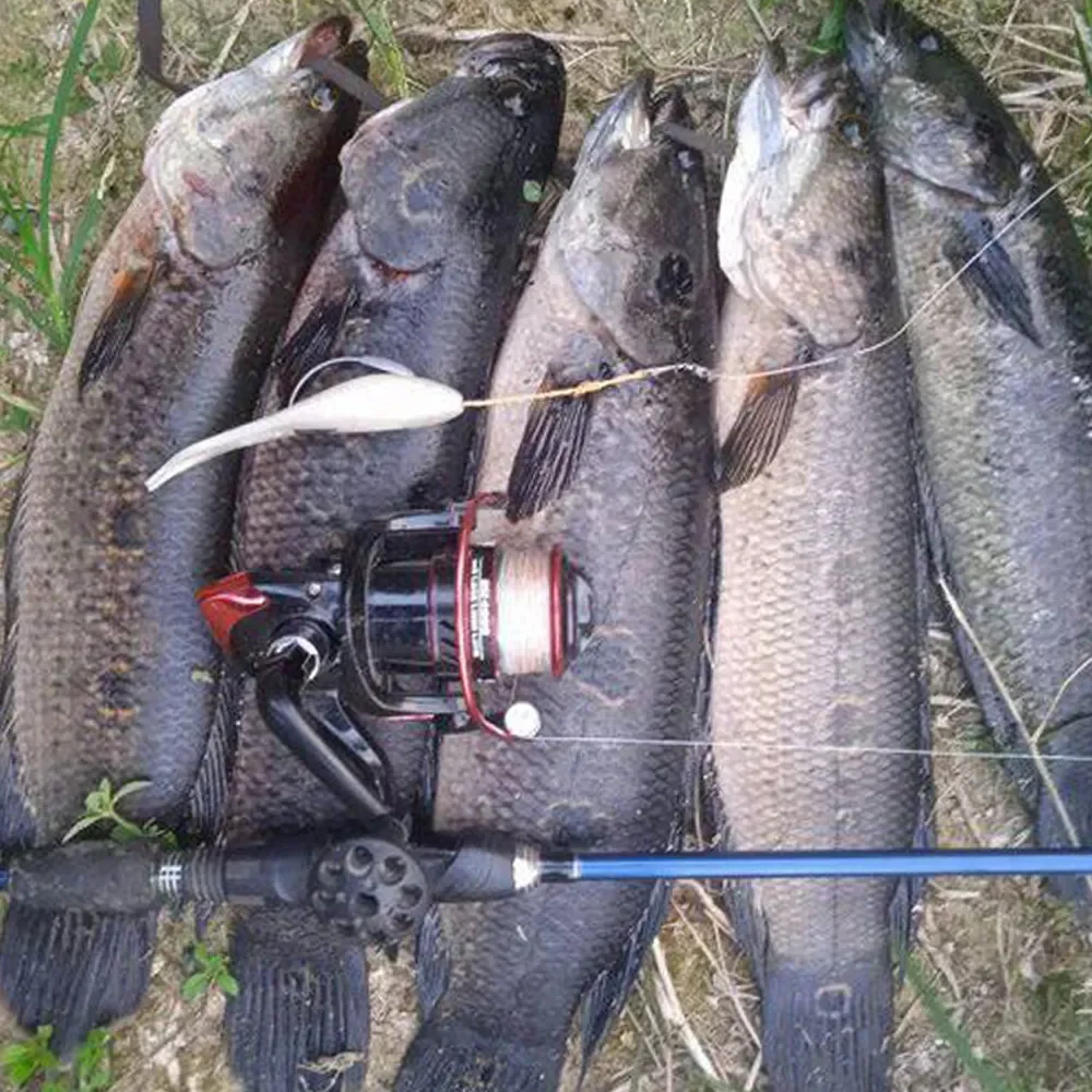 Leurre souple worm et ver pour pêcher en lac et rivière