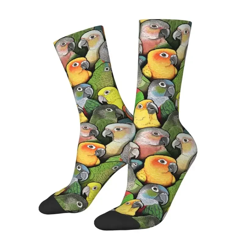 

Colour Of Conure Birds Mens Crew Socks Unisex Funny Cute Parrot Spring Summer Autumn Winter Dress Socks