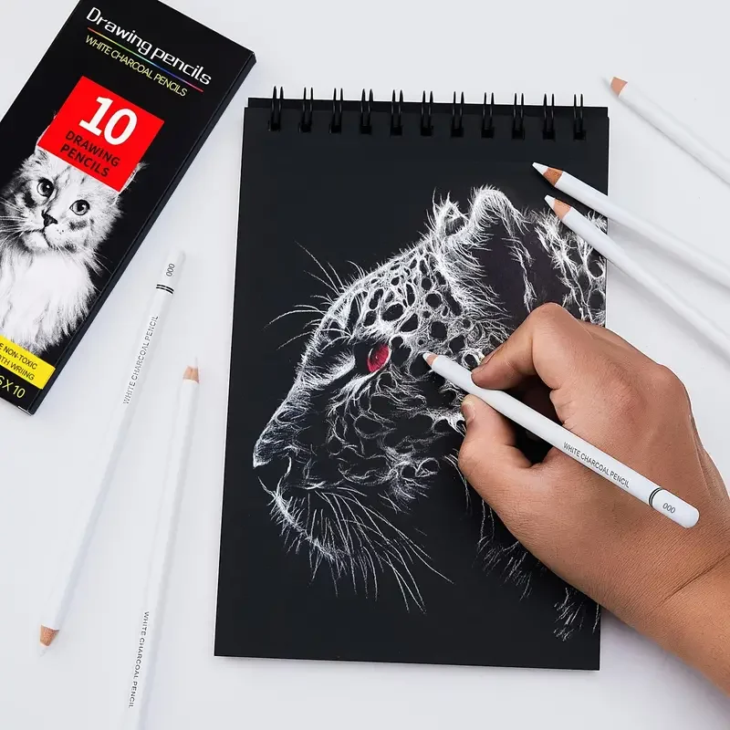 White Charcoal Pencils for Drawing, Professional 10 Pieces White Colored Pencils for Sketching, Shading, Blending, White 3
