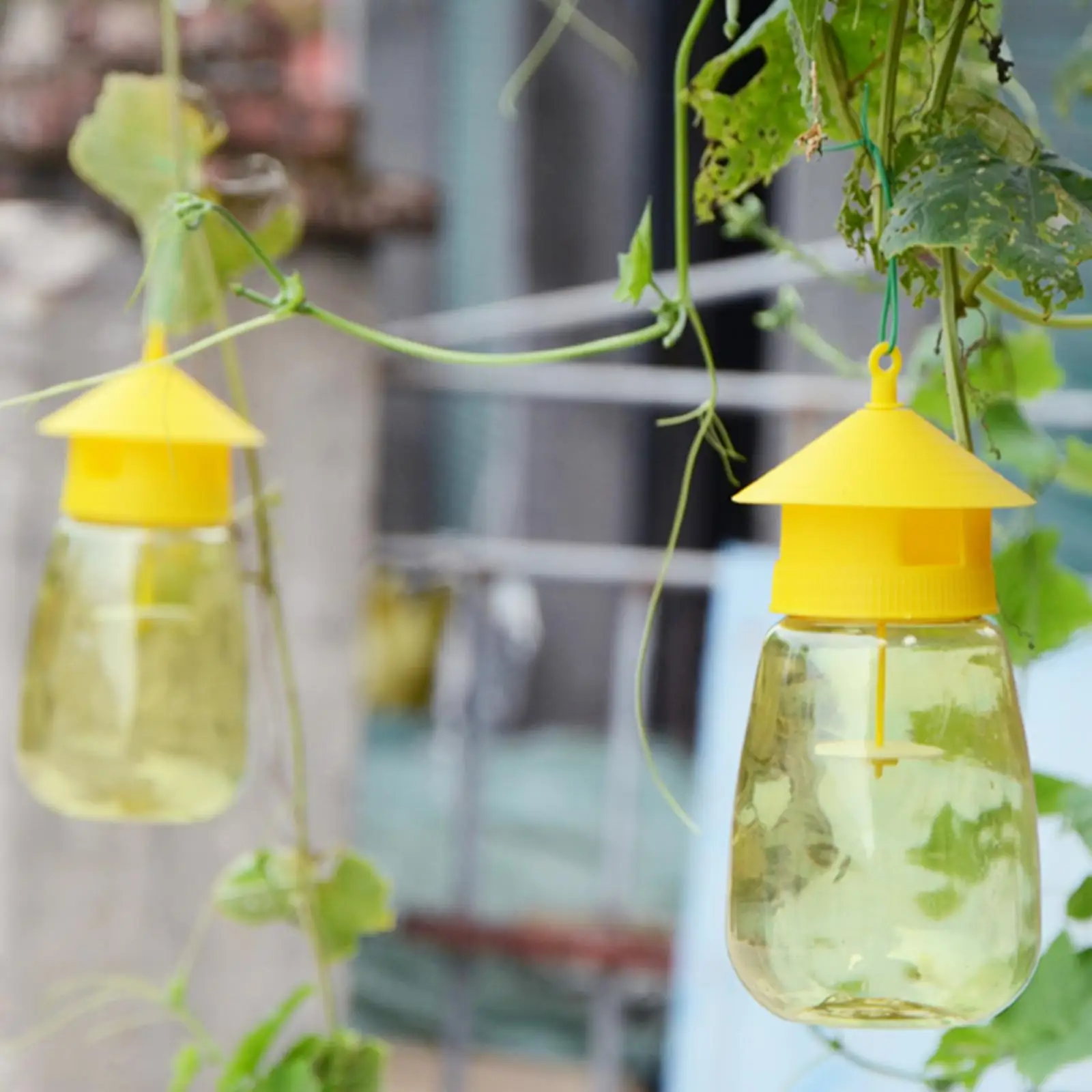 Fruit Fly Trap Plastic Fruit Fly Trap Killer Drosophila Trap Anti Fly Fruit Killer Catcher Orchard Insect Pest Control Bee