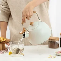 Bouilloire électrique à gaz touristique de 2,5 l avec sifflet, appareil de cuisine en acier inoxydable, théière de Camping, ustensiles de cuisine, ensemble de cuisine 5