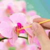 100 Pcs Indoor Disposable Potted Succulents Plants Vegetables Manual Pollination Brush Plastic Yard Fruit Tree Pollinator 6