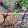 1900W 52CC Multifunction Gasoline Digging Root Machine Tree Transplanting Machine Planting Tree Shovel Rock Drilling Machine 6