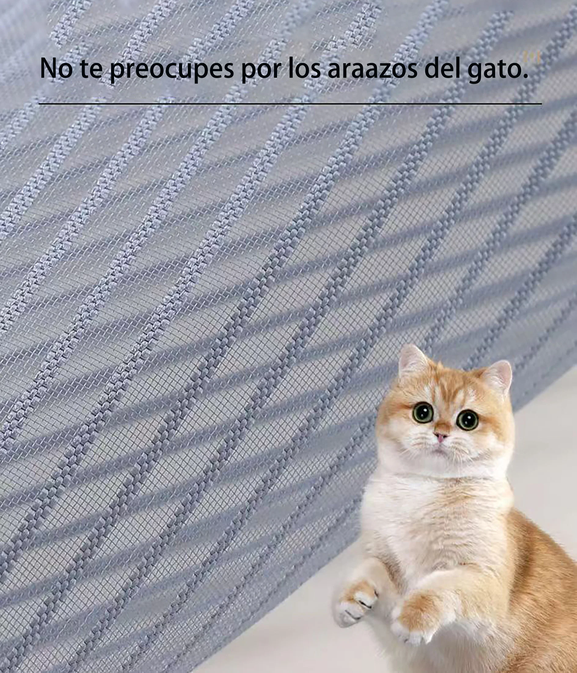 Slide image 65d8c3a56e574e7c84b76487fcc09749