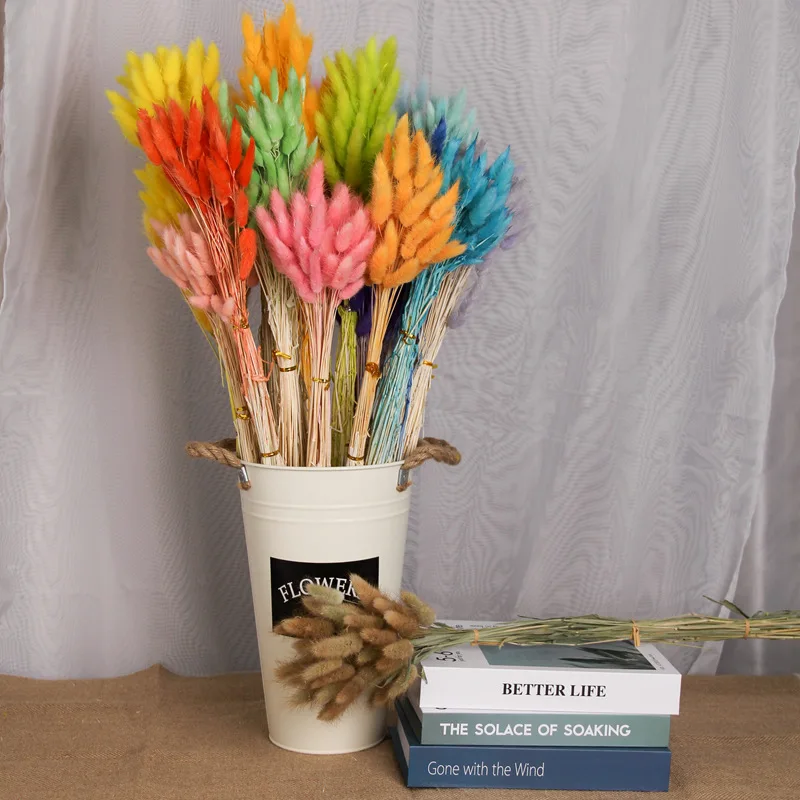 Natural Dried Flowers Rabbit Tail Grass Eucalyptus Bunch Colorful Lagurus Ovatus Real Flower