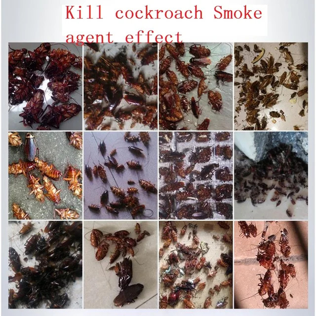 Csótány Gyilkos Csali Visszautasító Ölési Csapda Kártevőirtás A Konyhához Hatékony 4 Csomag - Image 4