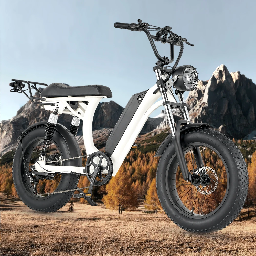Electric Bike Off-Road S1 1000W Motor 48V 20AH Lithium battery city Commuter Full Suspension Ladies All terrain 20*4.0 ebike