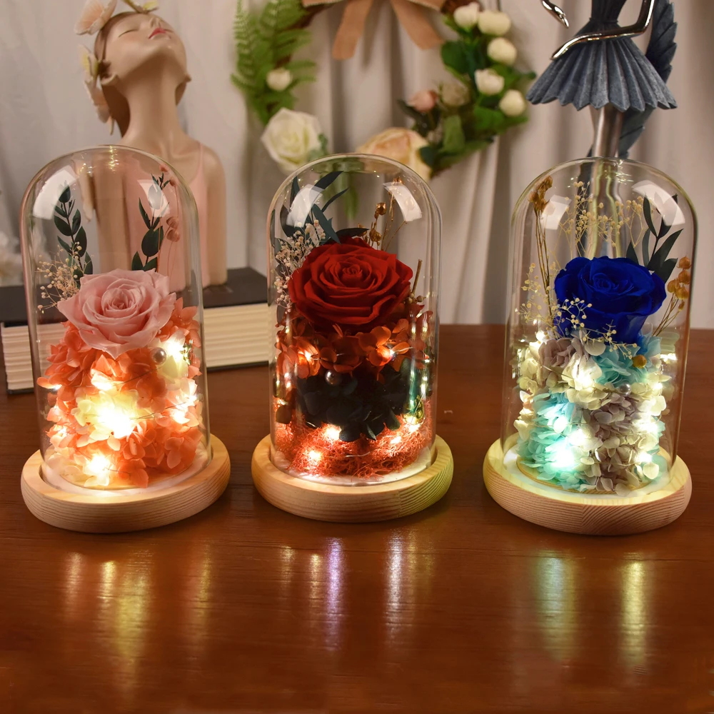 

Preserved Rose Gift for Women Long-Lasting Real Roses Light Up Eternal Flowers in Glass Dome Valentine's Day Anniversary Gifts