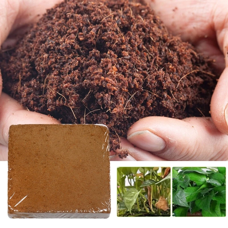 Coir Pellet Soil Coconuts Fiber Nutrient Soil Compressed Base Coconuts Brick for Flower Vegetable