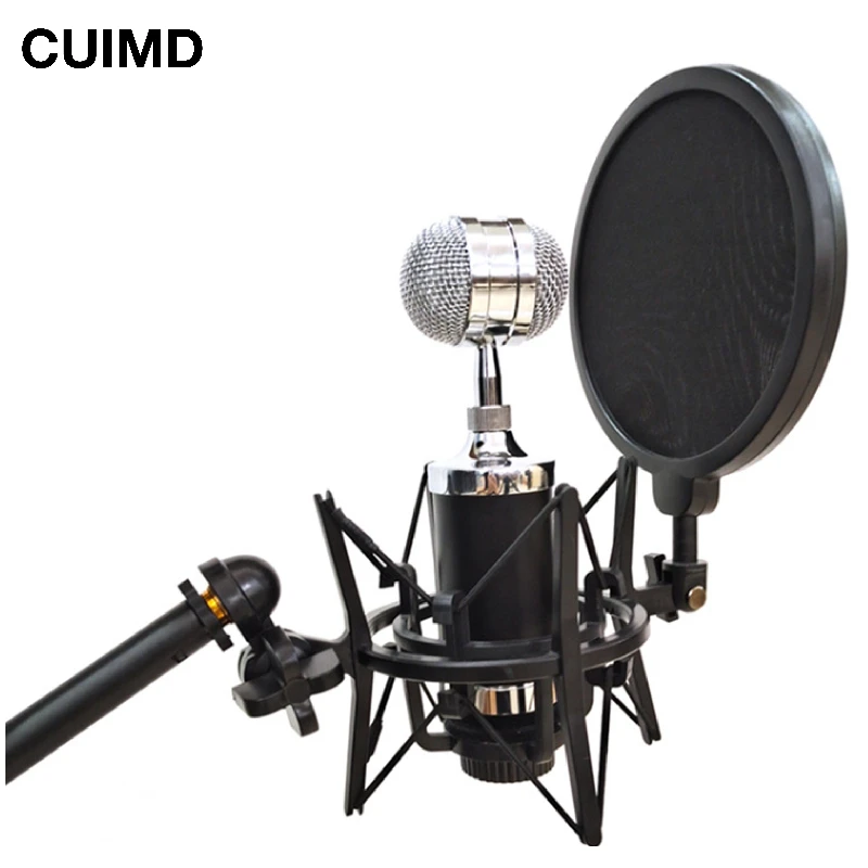 Microphone Mic Shock Mount Shield Articulating Head Holder Stand