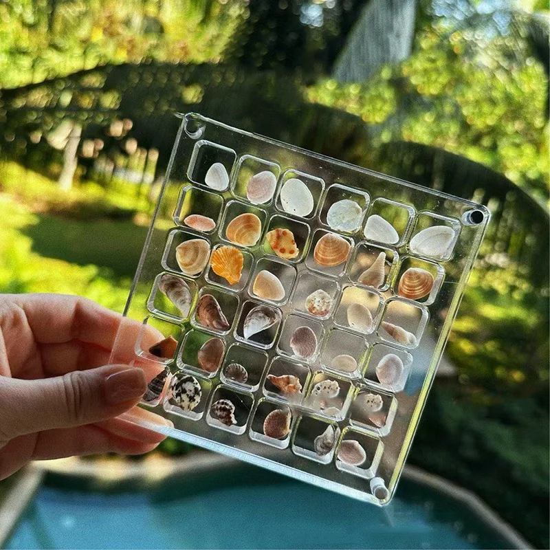 Acrylic Magnetic Marine Shell Display Box Organizer Starfish Ornament