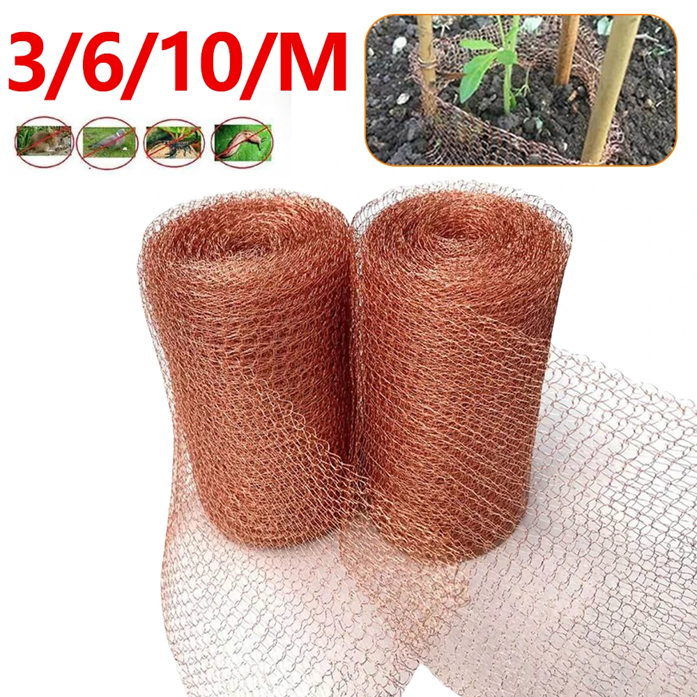 Acquista Rete in Acciaio Inossidabile Anti-Topo a Maglia Doppia Strato Trappola Rete per il Controllo dei Roditori Barriera Anti Lumache per Giardino Pollaio in Italia a partire da 7.93