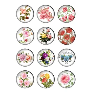 12pcs Rose Flowers 8/10/12/14/16/18/20/25mm Round Photo Glass Cabochon Demo Flat Back DIY Jewelry Making Findings Wholesale T006