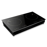 6000W Radiant Cooker Double Stoves Household High Power 3000W*2 Electric Cooking Machine Light Wave Stove Electric Cooker 1