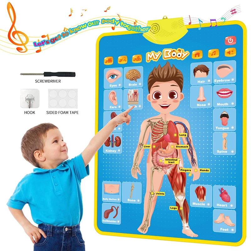 Electronic English Alphabet Wall Chart Talking ABC Letters 123s Music Poster Educational Learning Toy for Toddler Kids Gifts educational learning toy,alphabet educational toys,alphabet wall chart