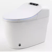 Ceramic Automatic Sanitary Waterless Toilet Electronic Intelligent Closestool Night Light Smart Toilet WC Toilet Bowl 5