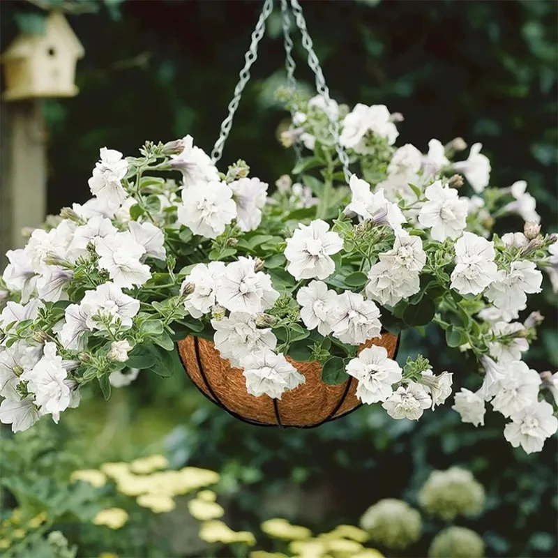 Plant hanger Flower Pot Hanger Garden Decoration Coconut Planter Hanging Baskets Garden Natural Coconut Liners Planters
