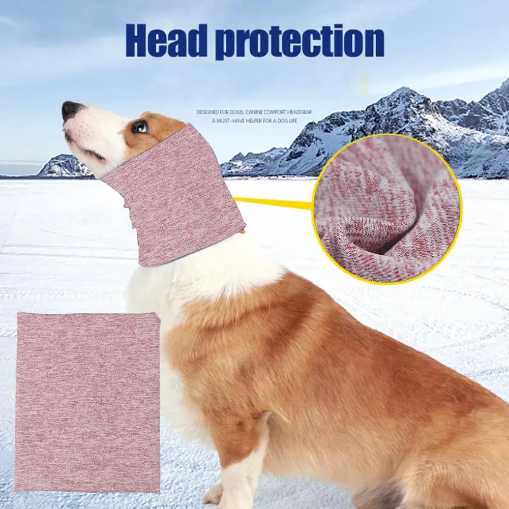 Dog Ear Warmer
